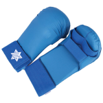 karate Gloves