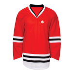 Ice Hokey Jersey