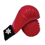 karate Gloves