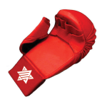 karate Gloves