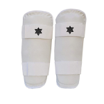 karate Shin