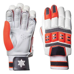 Cricket Gloves