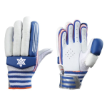 Cricket Gloves