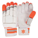 Cricket Gloves