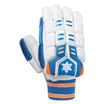 Cricket Gloves