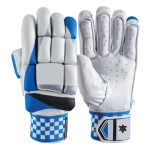Cricket Gloves