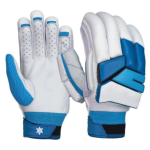Cricket Gloves