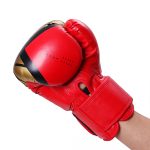 Boxing Gloves - Image 2