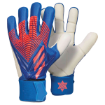 Goalkeeper Gloves